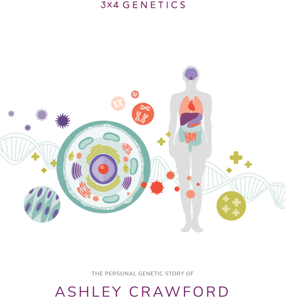 Cover of Ashley Crawford's 3X4 Genetics personal genetic report