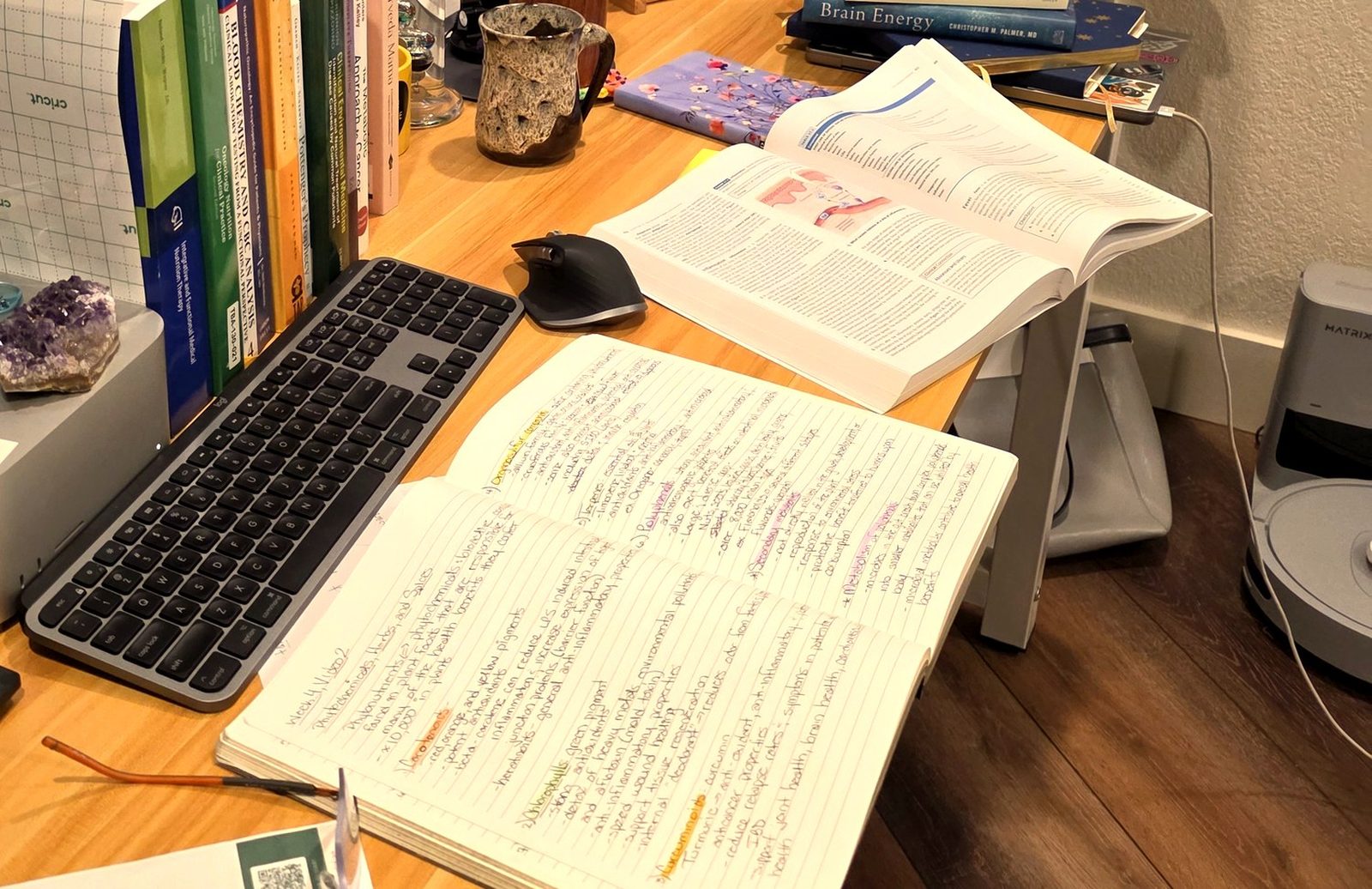An open anatomy textbook and a notebook of colour-coded handwritten study notes on phytonutrients, beside clinical reference books including Blood Chemistry and CBC Analysis on a wooden desk