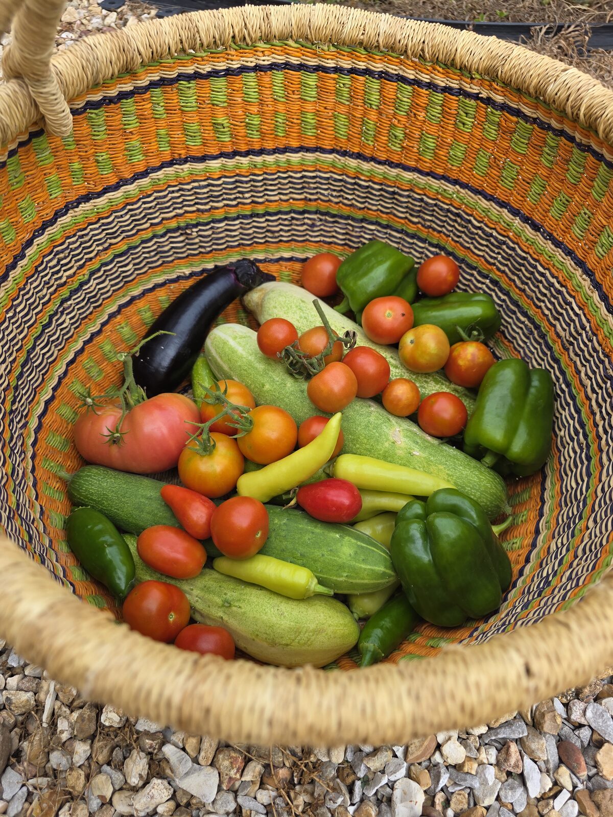 A woven basket overflowing with a fresh garden harvest of tomatoes, peppers, eggplant, and cucumbers