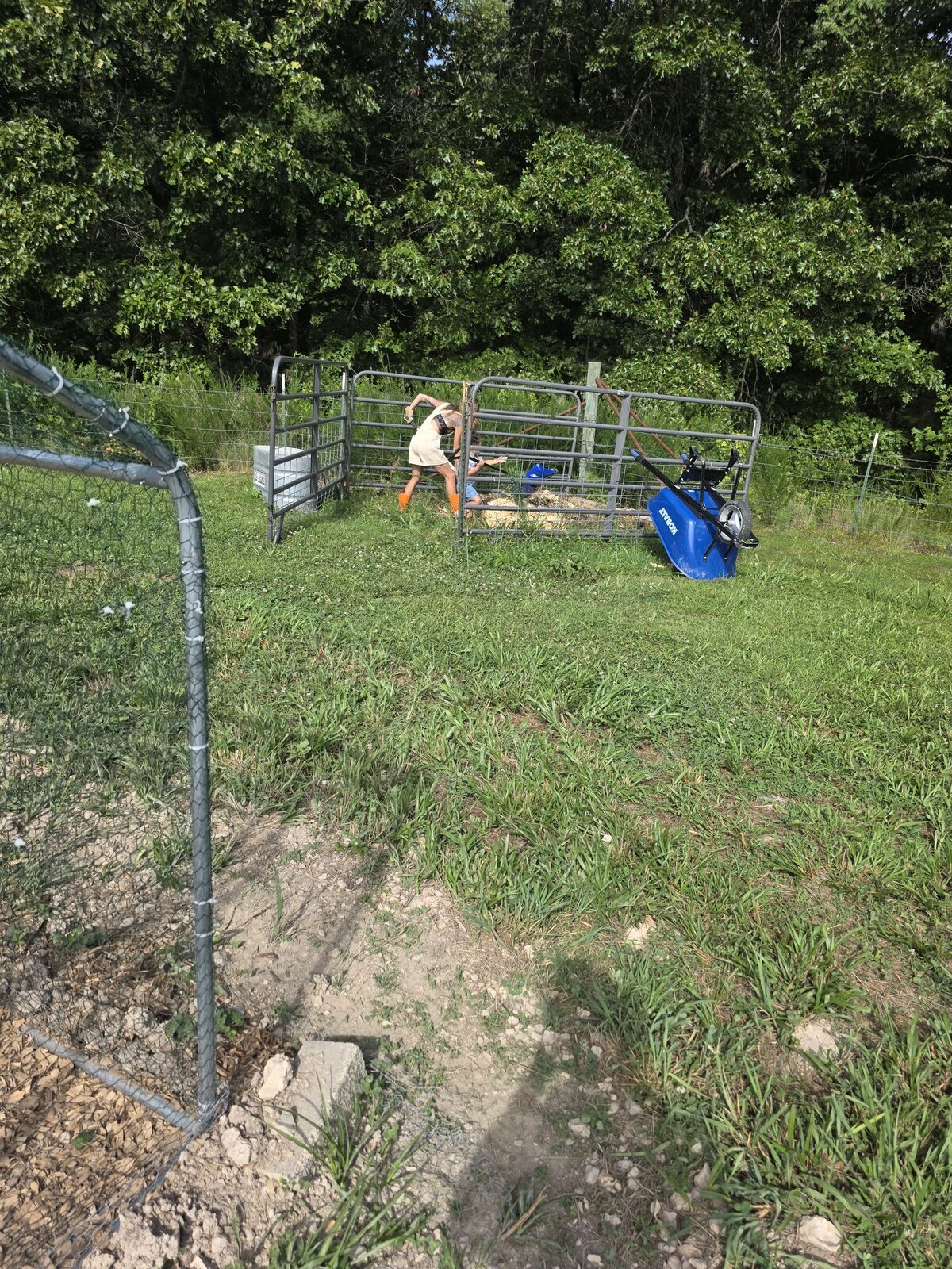 Ashley in orange boots turning a compost pile inside a metal-panel enclosure at the edge of the woods, a wheelbarrow beside her