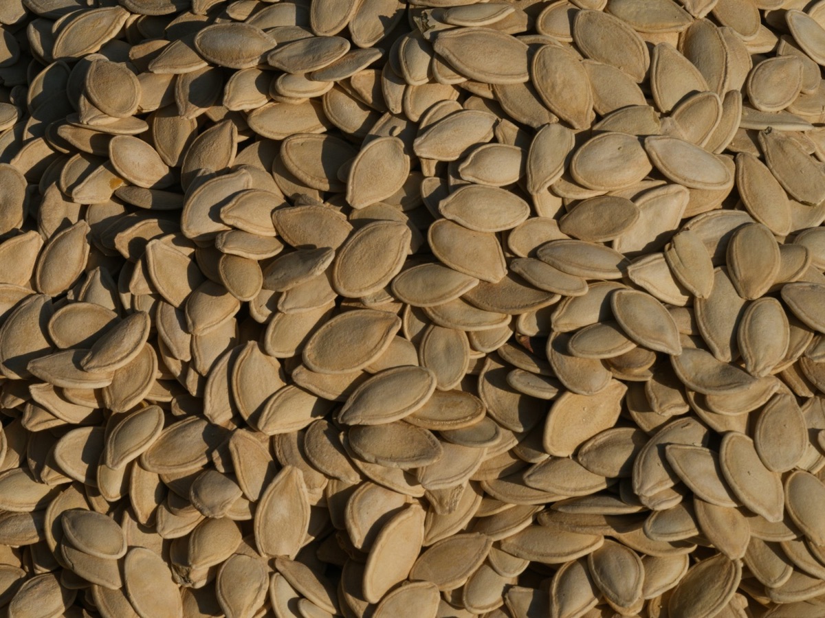 A pile of seeds on a wooden surface