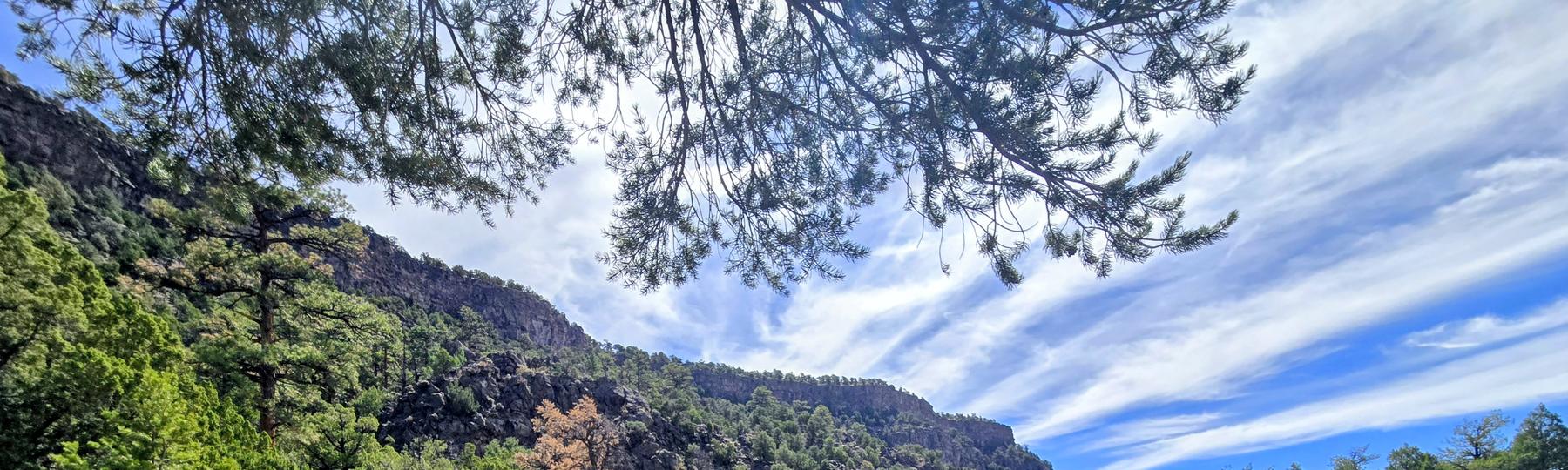 Pine and mesa ridge along a high desert trail in northern New Mexico