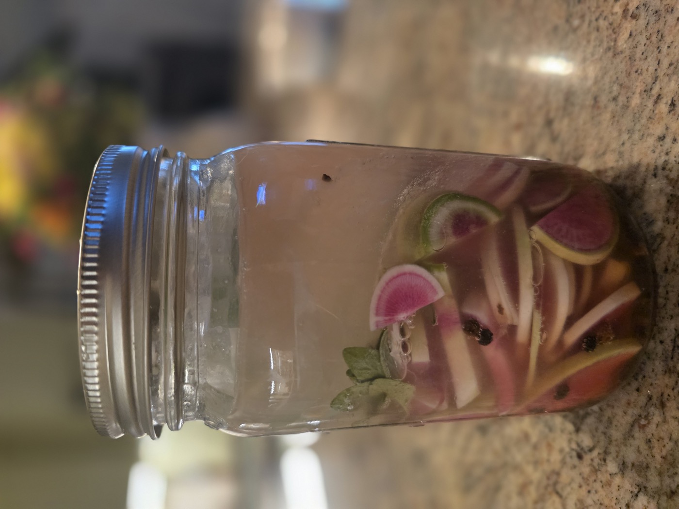Fermented watermelon radishes on day two, brine starting to blush with a soft rosy pink tint as fermentation progresses